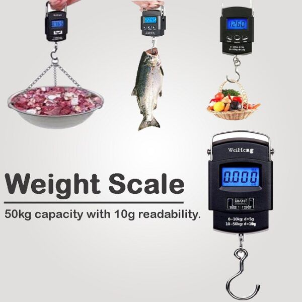Portable Weight Scale | পোর্টেবল ওজন স্কেল