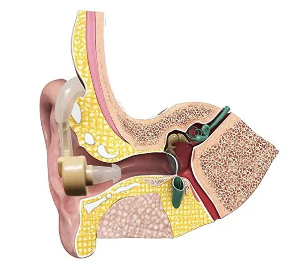 Cyber Sonic Hearing Aid | হিয়ারিং এইড Specification 2