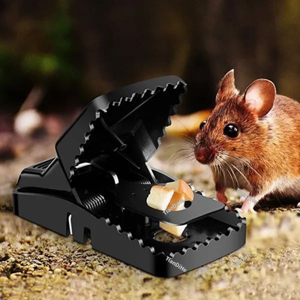 🔥২ পিস ইঁদুর ফাঁদ প্লাস্টিক মাউস ট্র্যাপ – Mouse Trap (২ পিস ) Specification 1