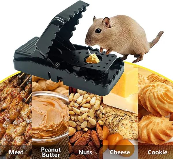 🔥২ পিস ইঁদুর ফাঁদ প্লাস্টিক মাউস ট্র্যাপ – Mouse Trap (২ পিস ) Specification 2