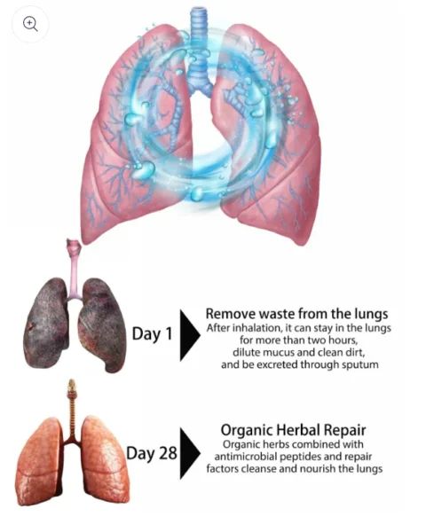 Lung Detox Herbal Cleanser Spray for Smokers | হারবাল ক্লেনজার স্প্রে Specification 2