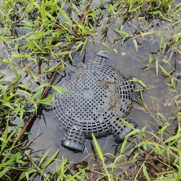 ২ পিছ সেট_6 Hole 16.5″ Fish Trap Big Size (মাছ ধরার ফাঁদ বড়ো সাইজের) Specification 1